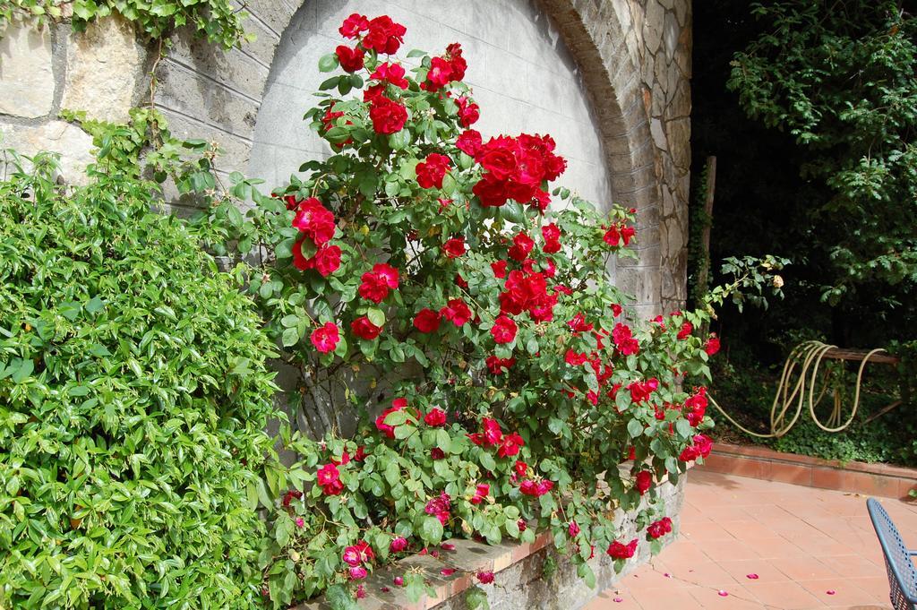 Villa Romita Sant'Agata sui due Golfi Luaran gambar